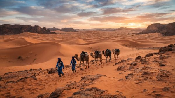 Top 5 apps pour une aventure mémorable en Algérie